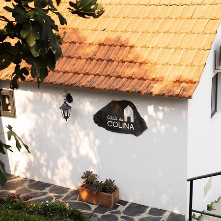 Casa Da Colina Villa Amarante Exterior photo